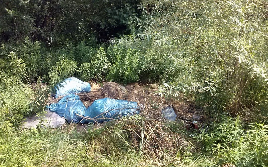 Ogródki działkowe i rekreacyjne a odbiór śmieci