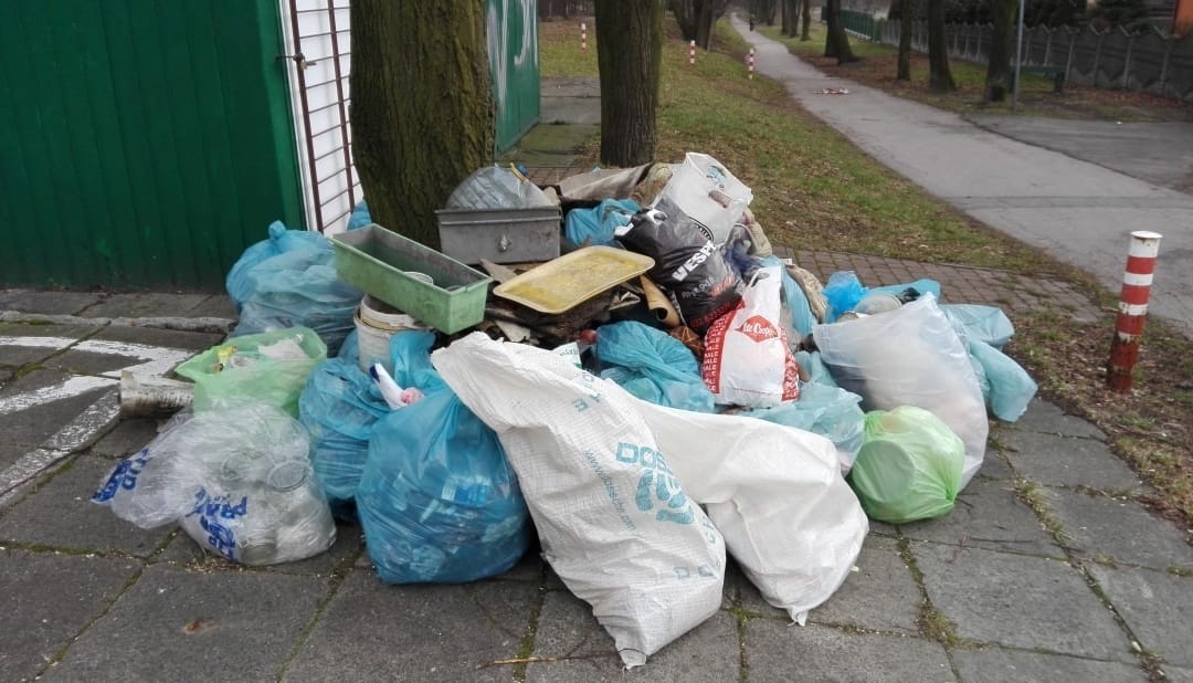 Jedni śmiecą, inni systematycznie sprzątają…