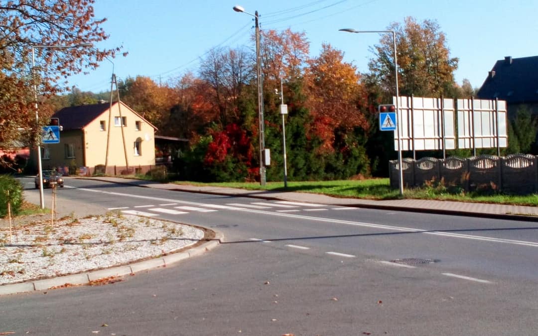Drzewa przy wojewódzkiej będą przycięte