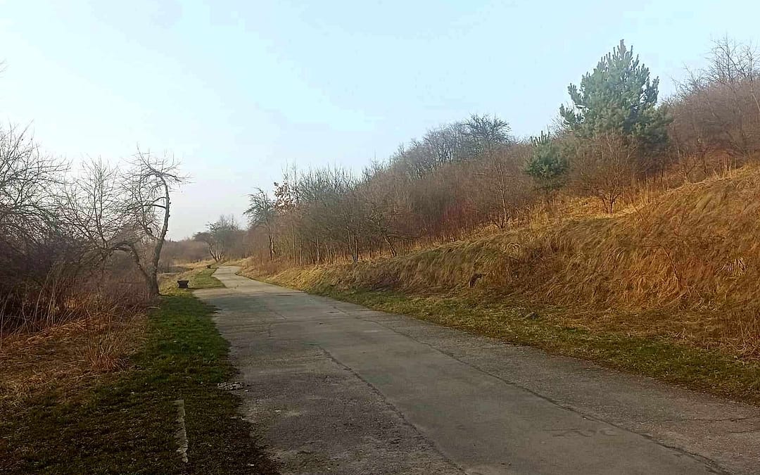 Dolina Rybnej wymaga naprawy ścieżki pieszo-rowerowej