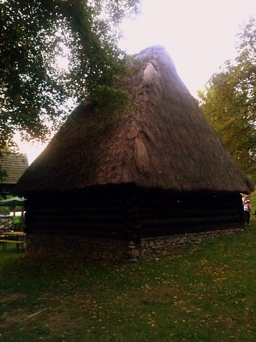 Ziemniaczysko pod Lipowcem 08