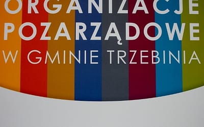 Blisko 3 mln złotych na działalność organizacji