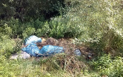 Ogródki działkowe i rekreacyjne a odbiór śmieci