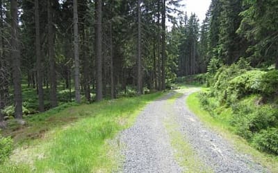 Może warto sięgnąć po środki, gdy nadarza się okazja?