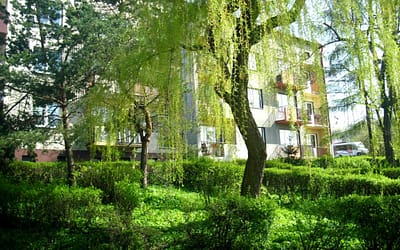 Po całym roku starań słup został wymieniony