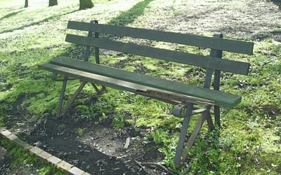 Jesienią ławki w Parku będą już odnowione