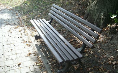 Ławki w Parku Zieleniewskich są już odnowione!