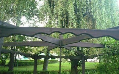 Wewnątrz osiedlowego skweru potrzeba nieco pielęgnacji