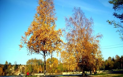 Balaton w jesiennej szacie