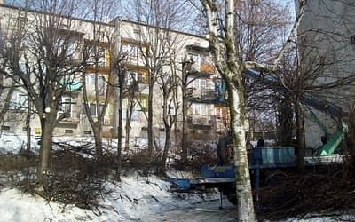 Pielęgnacyjne cięcia drzew wokół bloków