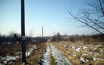 Nieaktywne słupy? Czy mogą zostać usunięte?