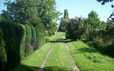 Ogrody działkowe wyjęte z „systemu śmieciowego”