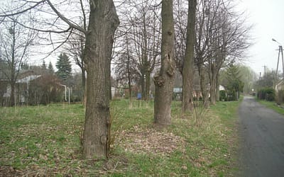 Niebawem II Targi Ogrodnicze na Piaskach