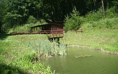 W wolnej chwili odwiedź Pogorzyce… I stawy kaskadowe…