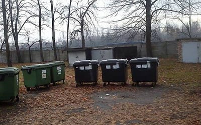 Te gałęzie naprawdę stanowią zagrożenie…!