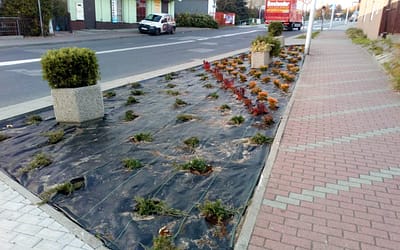 Zamiast klepiska mamy mały zieleniec…