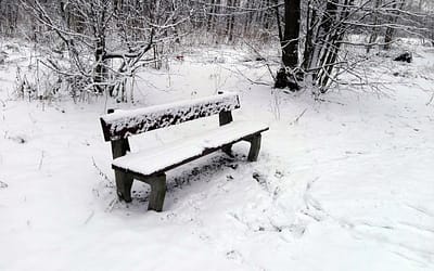 Zima po raz kolejny ucieszyła (zaskoczyła)