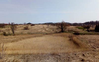 Mieszkańcy Doliny Rybnej chcą poprawy nawierzchni