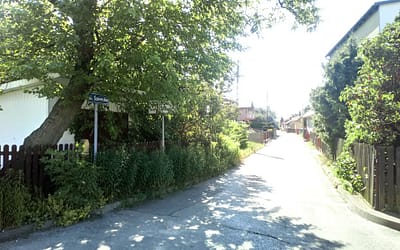 Te gałęzie ograniczają widoczność na drodze