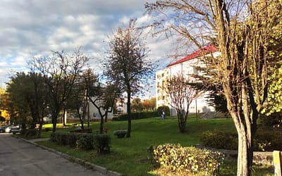 Ulicę Głogową w Trzebini charakteryzują głogi