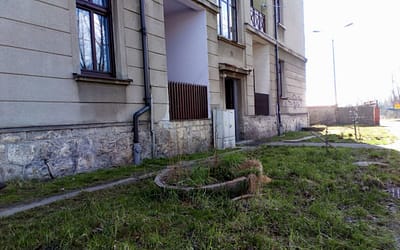 Zamiast zniszczonych donic ozdobne krzewy