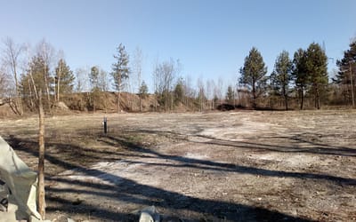 Interpelacja o wycince przy ulicy Dworcowej