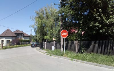 Przycinają gałęzie, by było w mieście bezpieczniej