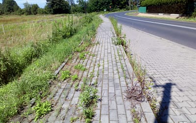 Chodniki z trawą przy powiatówce w Pile