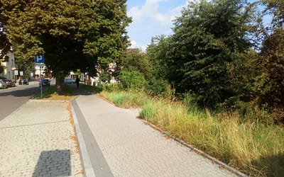 Nowy termin zadbania o teren w centrum miasta