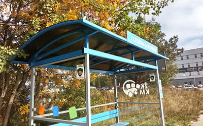 Śmieci posprzątane, wiata dalej bez szyby