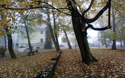 Zamglony Park Zieleniewskich, bez oświetlenia