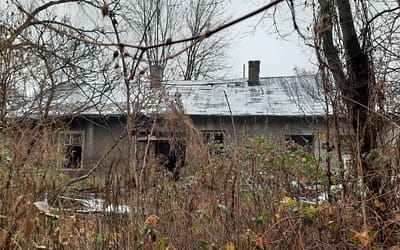 Zwracajmy uwagę na samotnych i bezdomnych