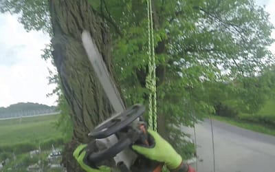 Karczują działkę gminną przy ul. Korczaka