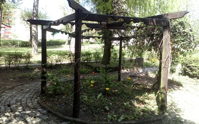 Z wnioskiem o nowe nasadzenia w skwerze przy bloku