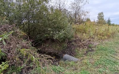 Niedrożne rowy odwadniające przy kolei