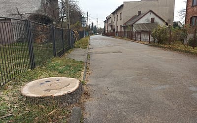 Wycinka dębu przy ul. Kilińskiego w Trzebini