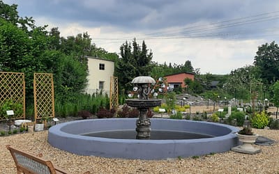 Trzebińska Deszczówka również w przyszłym roku