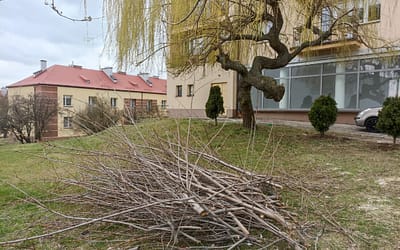 Po przycince zostawili gałęzie na osiedlu Krakowska
