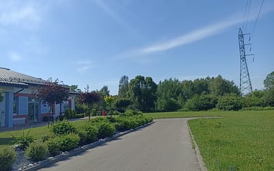 Odstrzał dzików przy zabudowie nie jest możliwy