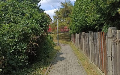 Przechodniom nie przeszkadzają już gałęzie