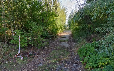 Przy ul. Dworskiej w Trzebini zakończyły się porządki