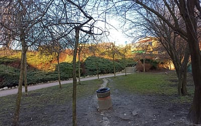 Zastąpić klepisko nowym fragmentem chodnika?